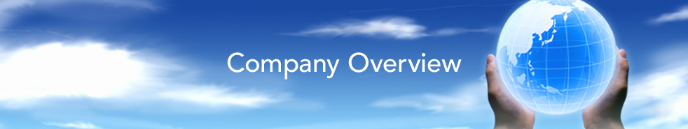 Company Overview