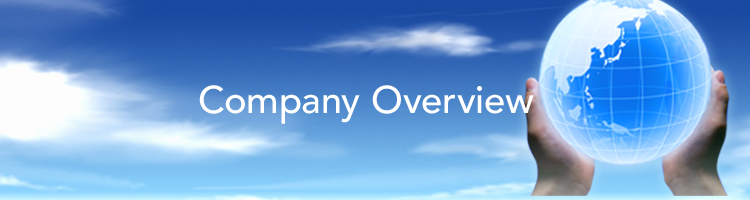 Company Overview